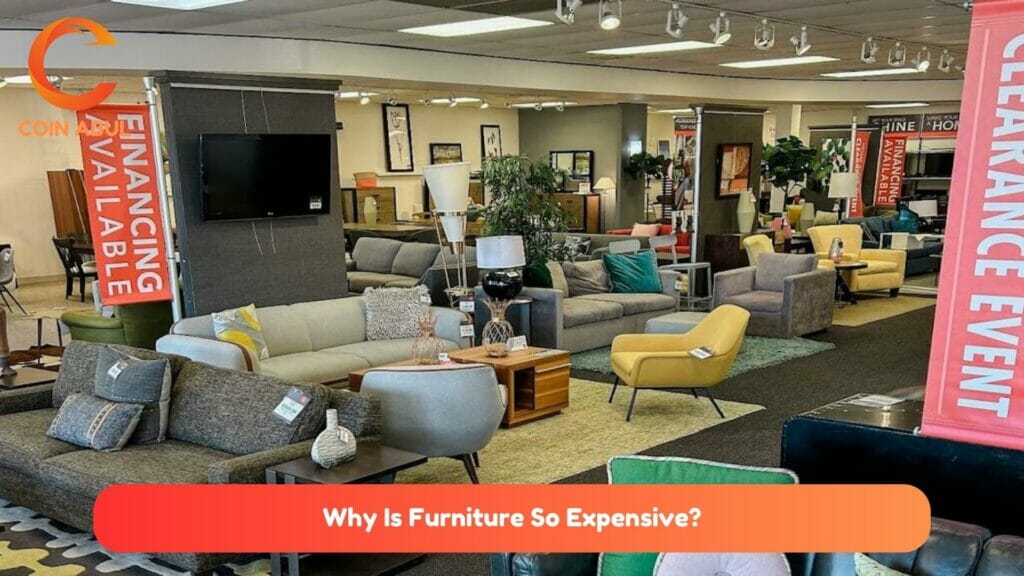 Why Is Furniture So Expensive