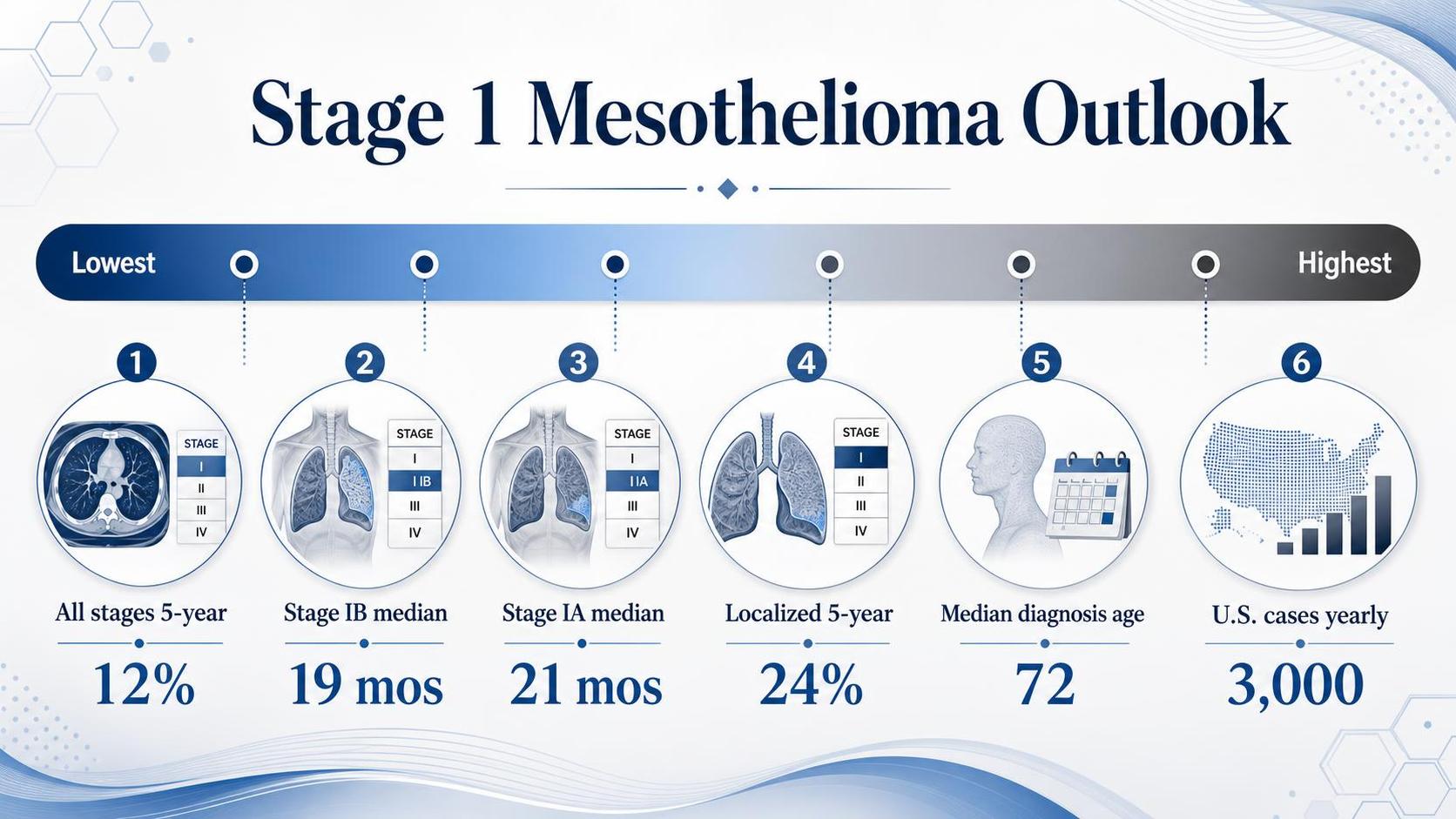 Infographic shows mesothelioma outlook statistics with lung images and numbered circles
