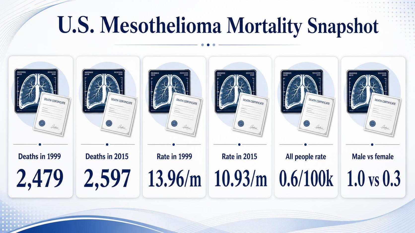 Infographic shows six mesothelioma mortality statistic cards with lung scans and certificates