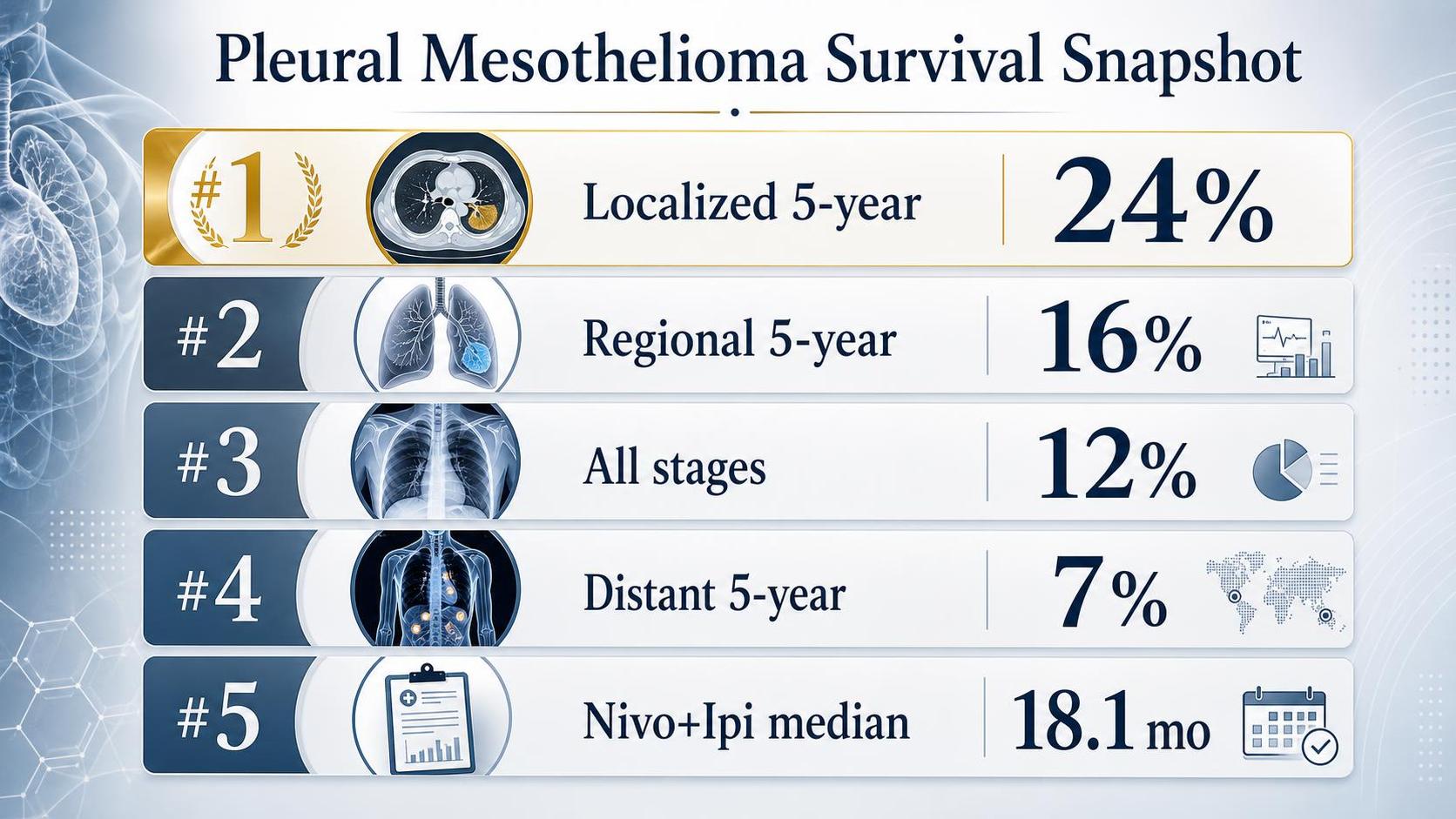 Infographic shows pleural mesothelioma survival percentages with lung images and icons